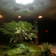 Illustration for article titled How NYCs Underground Park Will Stay Well-Lit and Alive